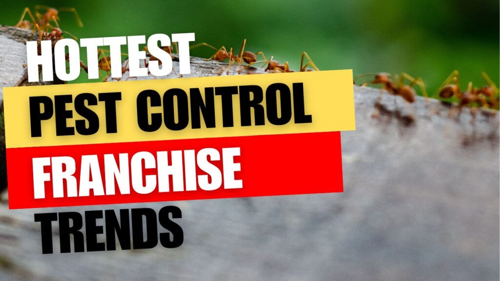 Hottest Pest Control Franchise Trends: With a New Hot Niche