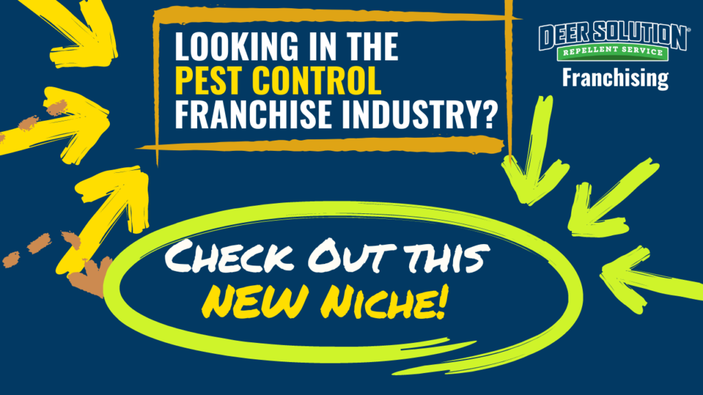 Pest Control Franchise: An Exciting Niche is Here