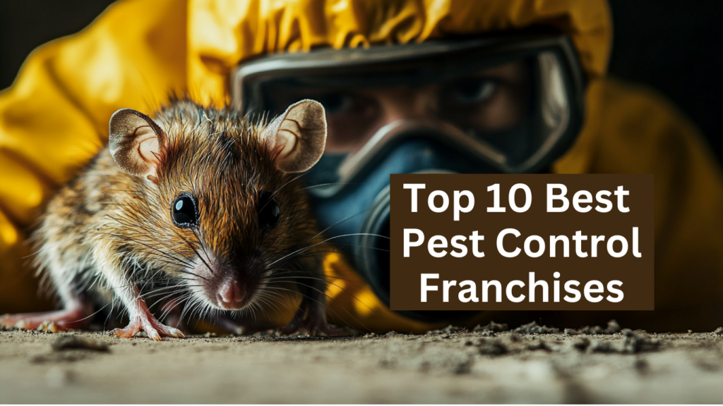 What are the best pest control franchises?