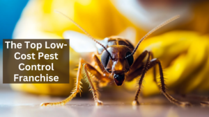 Top 10 Best Pest Control Franchises