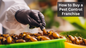 How to Buy a Pest Control Franchise