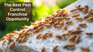 Top Five - Best Pest Control Franchise Opportunity