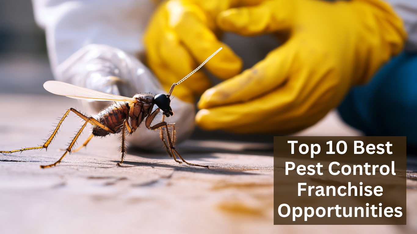 Top 10 best pest control franchise opportunities