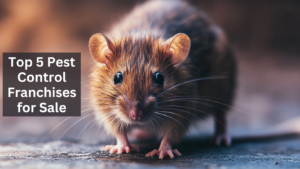 Top 5 pest control franchises for sale