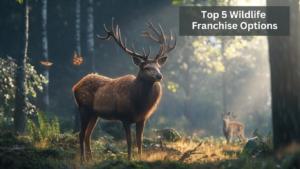 Top 5 Wildlife Franchise Options