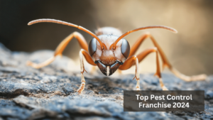 Top Pest Control Franchise 2024