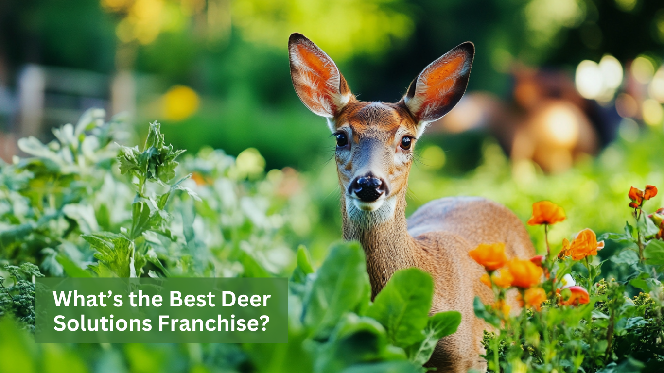 What's the Best Deer Solutions Franchise?