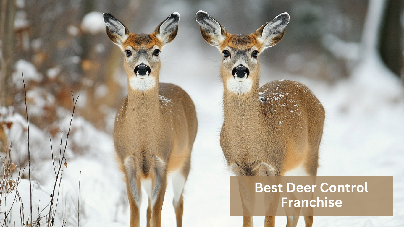 What Is The Best Deer Control Franchise?