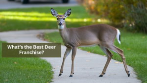 What is the best deer franchise?