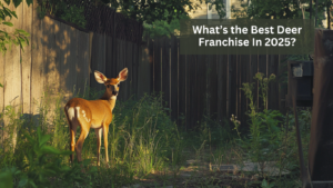 Best Deer Franchise 2025