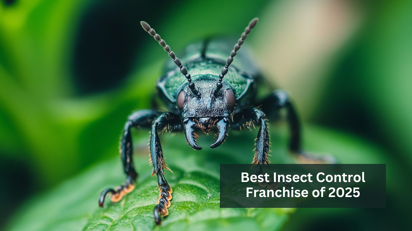 Best Insect Control Franchise of 2025