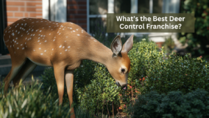 What's the best deer control franchise?