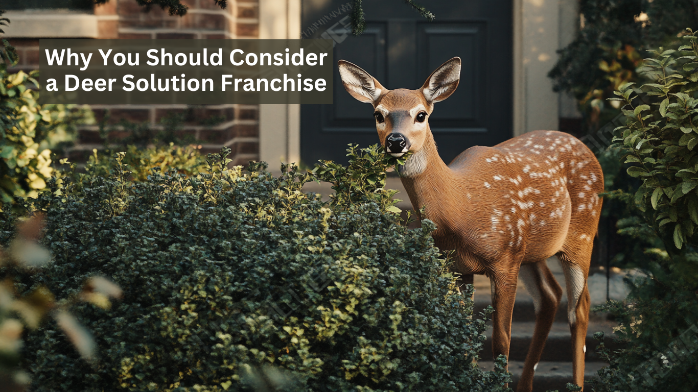 why you should consider a deer solution franchise