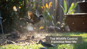 Top Wildlife Control Franchise Near Me