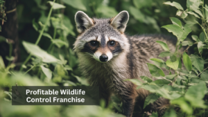 Profitable Wildlife Control Franchise