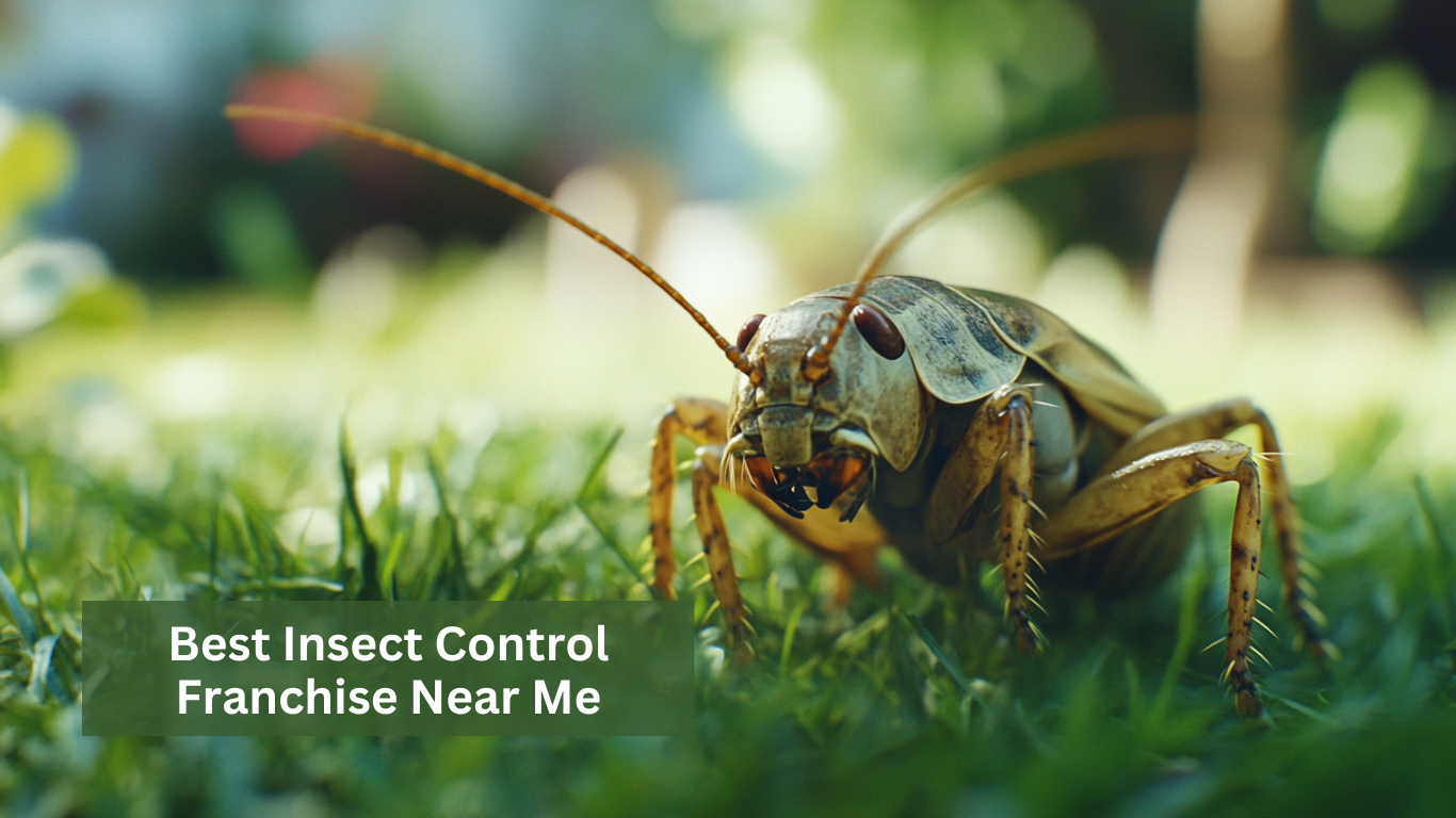 Best Insect Control Franchise Near Me